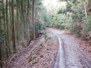 泥濘んだ道に