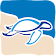 eTurtle icon