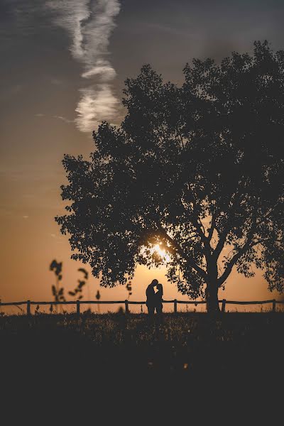 Wedding photographer László Vörös (artlaci). Photo of 14 May 2018