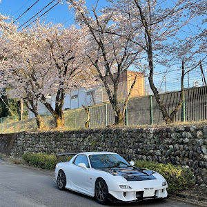 RX-7 FD3S 後期