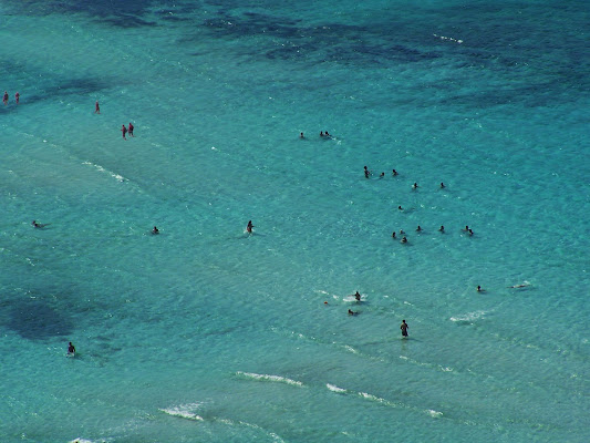 Com'è profondo il mare di MauroV