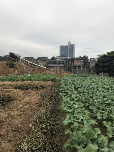 福建工程学院逸夫楼