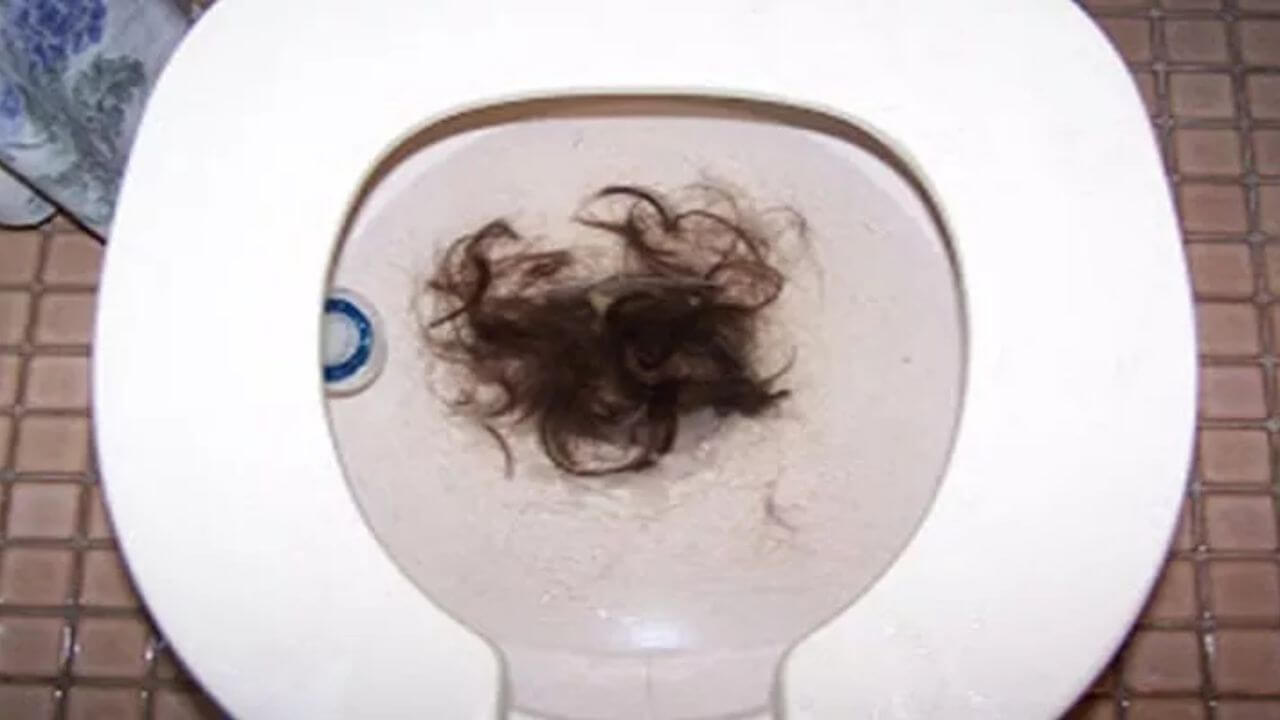 How Do You Get Rid Of Hair In The Toilet?