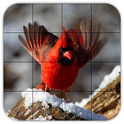 Tile Puzzles · Birds 1.33.bi Icon