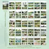 miniatures image - 24