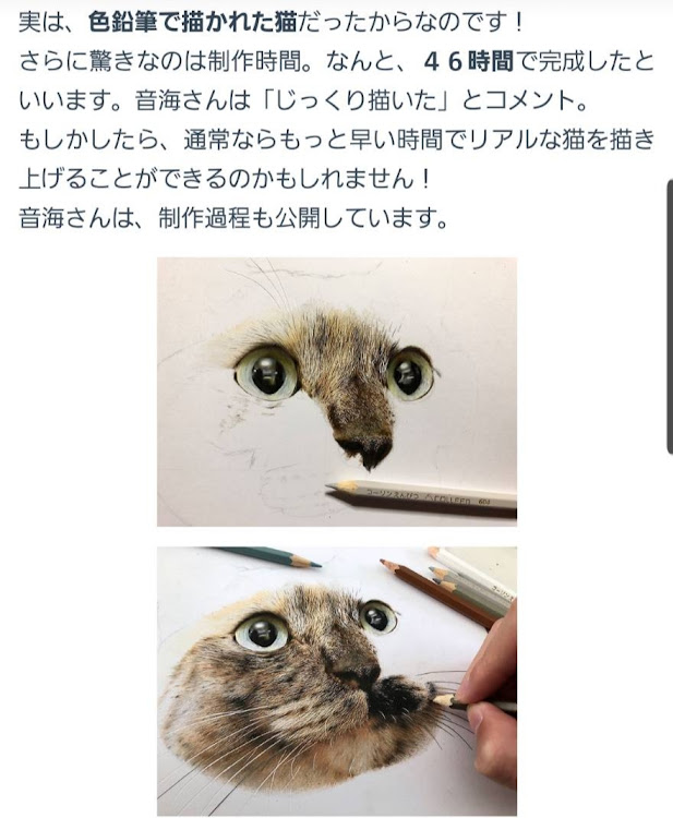 の投稿画像6枚目