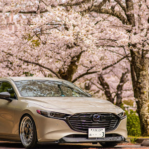 MAZDA3 BP8P