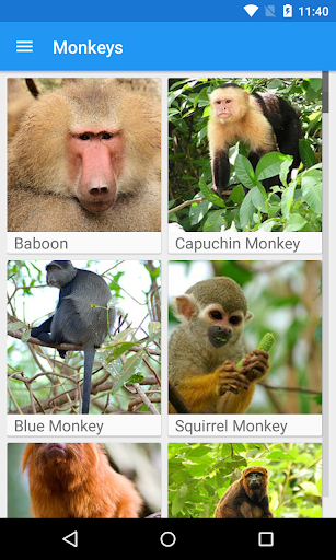 Monkeys App