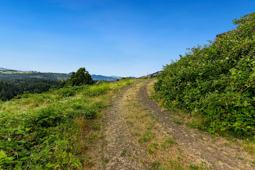 Land 5