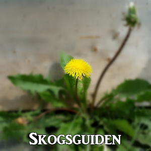 Skogsguiden