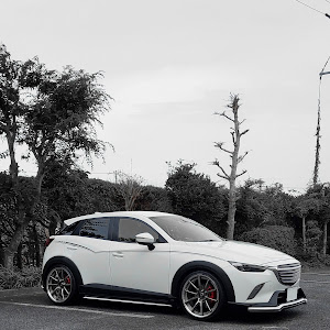 CX-3 DKEFW