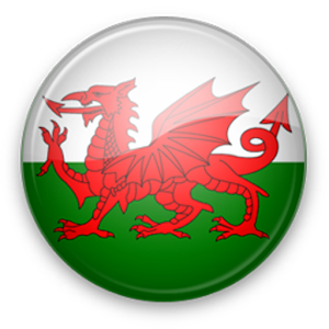 Download Welsh Livescores App For PC Windows and Mac