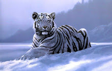 Tiger Wallpaper HD New Tab Themes small promo image