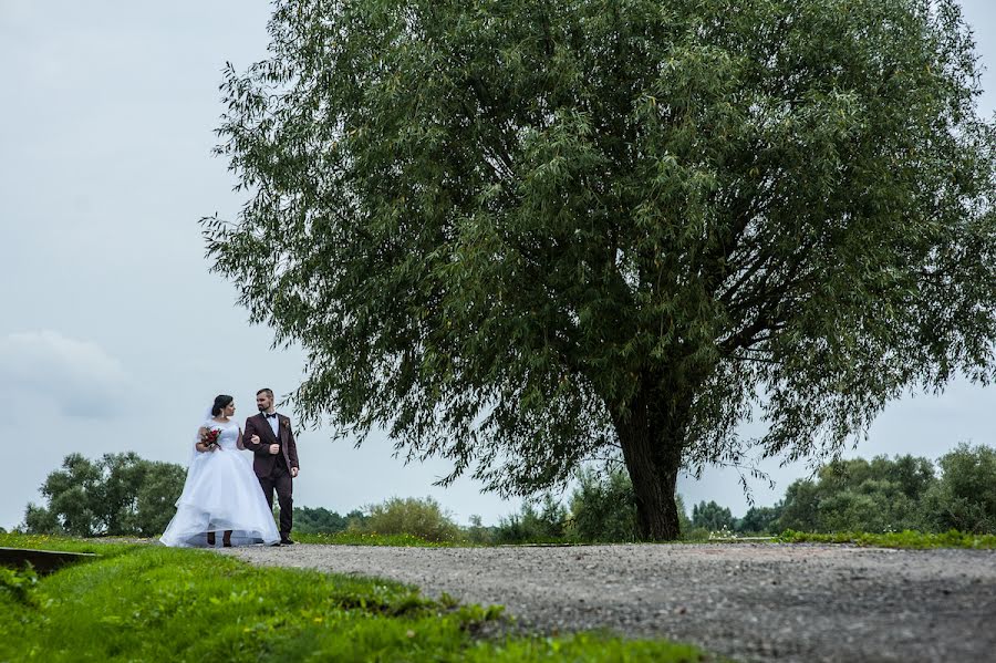 Photographe de mariage Andrey Vologodskiy (vologodskiy). Photo du 29 octobre 2017