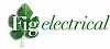 Fig Electrical Ltd Logo