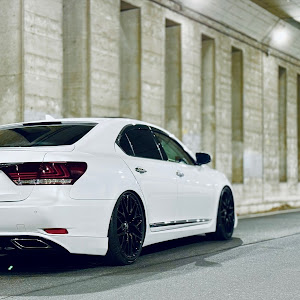 LS UVF45