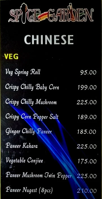 Spice Garden menu 