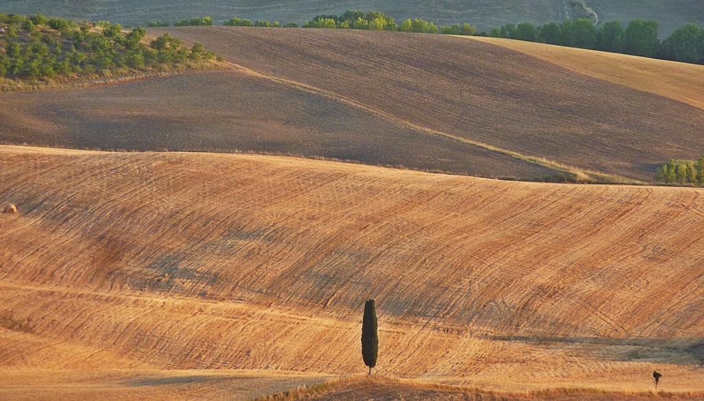 Val d'Orcia (Siena) di FransuaR