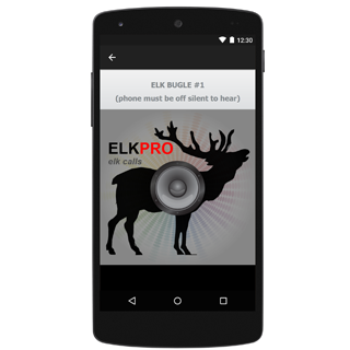 Elk Hunting Calls UK