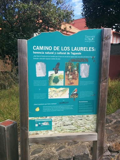 Camino de los laureles