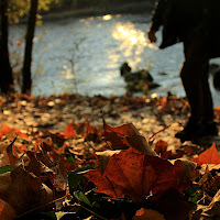 Viaggiare in autunno di 