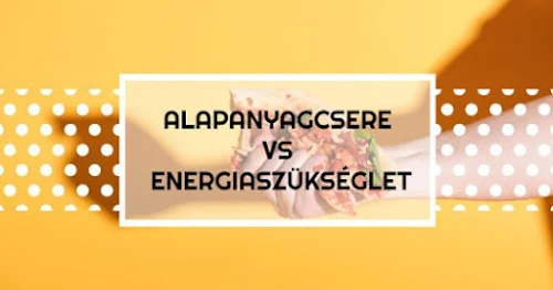 Hány kalóriára van szükséged? Alapanyagcsere VS napi energiaszükséglet