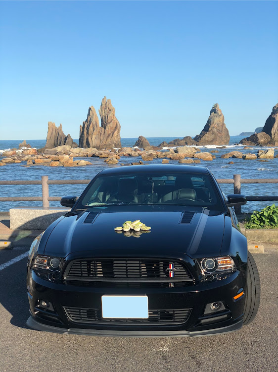 マスタング クーペの#QeensBeast・串本海中公園に関するカスタム事例の投稿画像1枚目