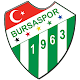 Download Bursaspor Futbolcu Tahmin Et Bilgi Yarışması For PC Windows and Mac 1.0