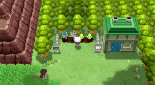 ポケモンダイパリメイク きのみチェッカーの入手方法と使い方 sp 神ゲー攻略
