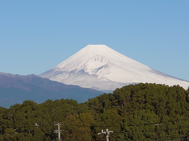 の投稿画像2枚目