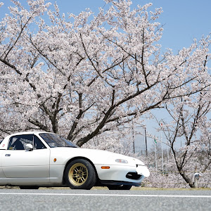 ロードスター NA8C