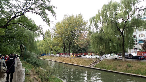 Bamboo Lake Beijing China 2015