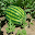 Kilimo Na Ufugaji Bora Download on Windows