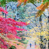 紅葉日式速食