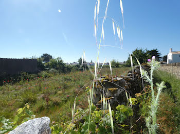 terrain à Noirmoutier-en-l'Ile (85)