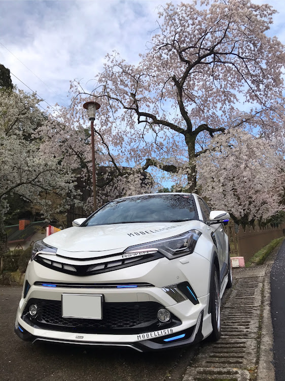 C-HRの桜と愛車・ドライブに関するカスタム事例の投稿画像2枚目