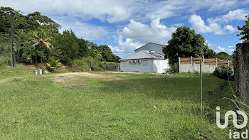 terrain à Petit bourg (971)