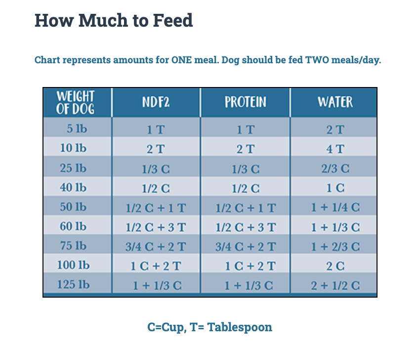 How to Create a Feeding Schedule for Your Dog