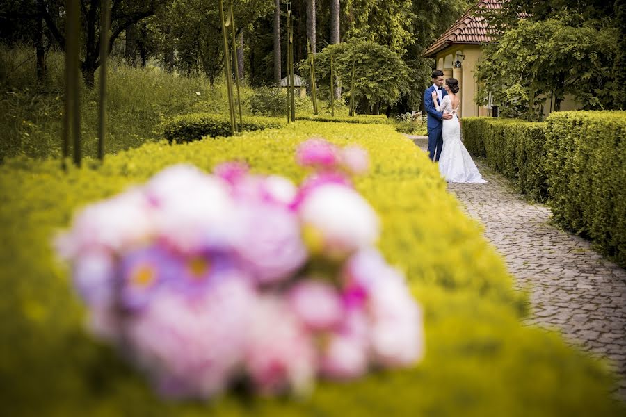 Fotógrafo de bodas Vlad Milonean (milonean). Foto del 8 de febrero 2017