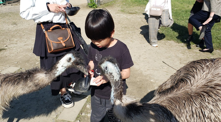 ヴェルファイアの5月もよろしくお願いします・GWの過ごし方・掛川花鳥園・ビッグボーイに関するカスタム事例の投稿画像7枚目