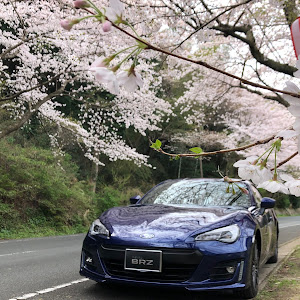 BRZ ZC6