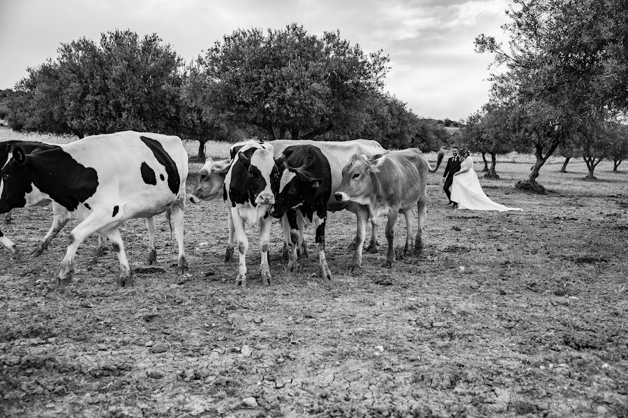 Bröllopsfotograf Angelo Alborino (alborino). Foto av 16 maj 2023