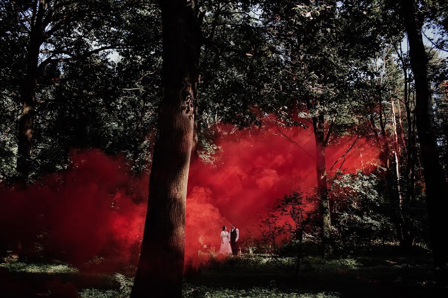 Fotografo di matrimoni Darya Elfutina (elfutina). Foto del 27 aprile 2017