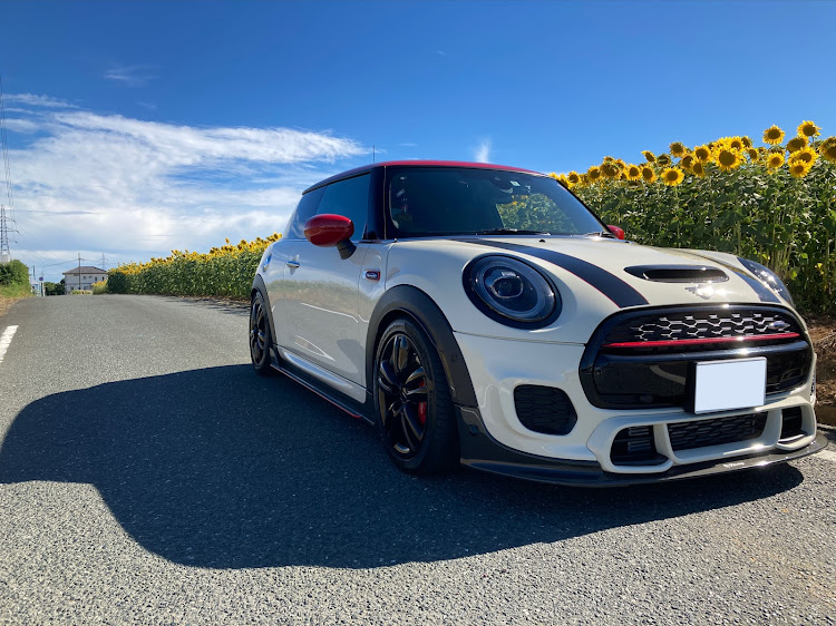 MINI ジョンクーパーワークスのひまわり畑・向日葵畑・光合成中に関するカスタム事例の投稿画像1枚目