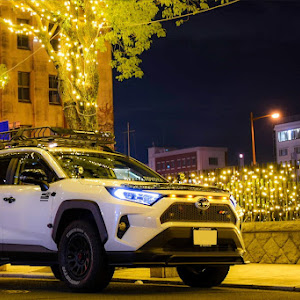 RAV4 AXAH54