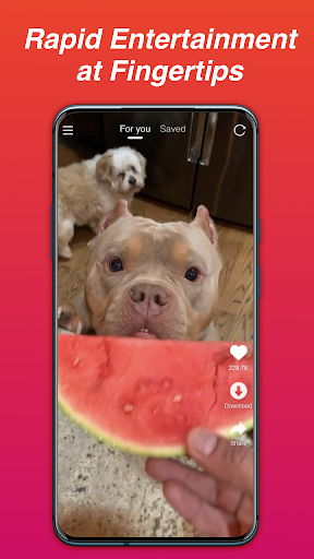 Screenshot ChipsVideo