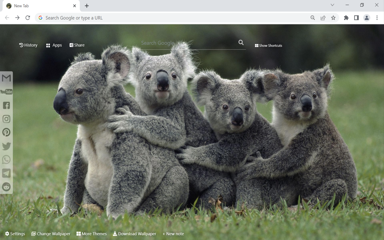 Koala Wallpaper New Tab Preview image 1