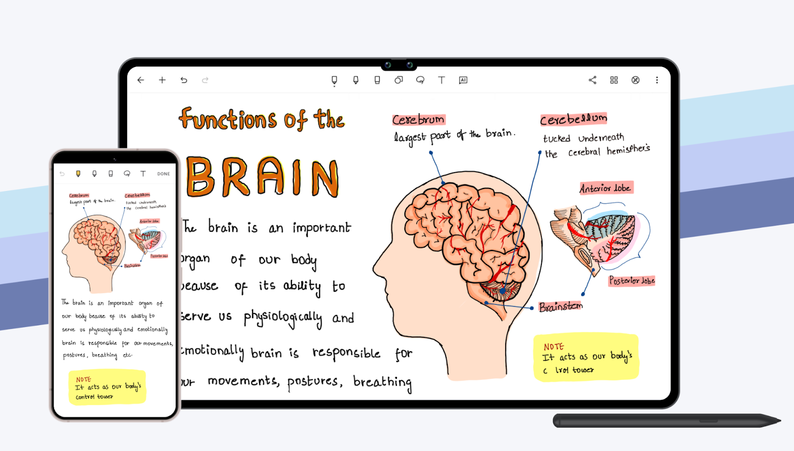 GoodNotes alternative: Noteshelf