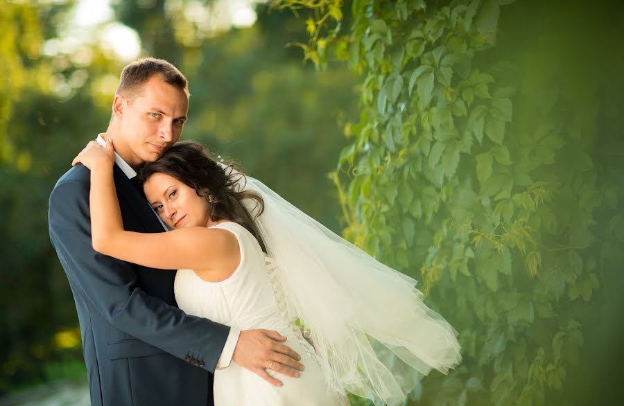 Photographe de mariage Aleksandr Pavlov (aleksandrpavlov). Photo du 16 mars 2017