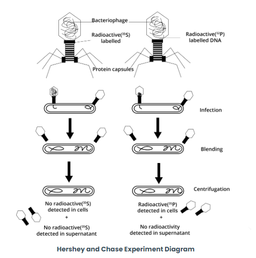 Solution Image